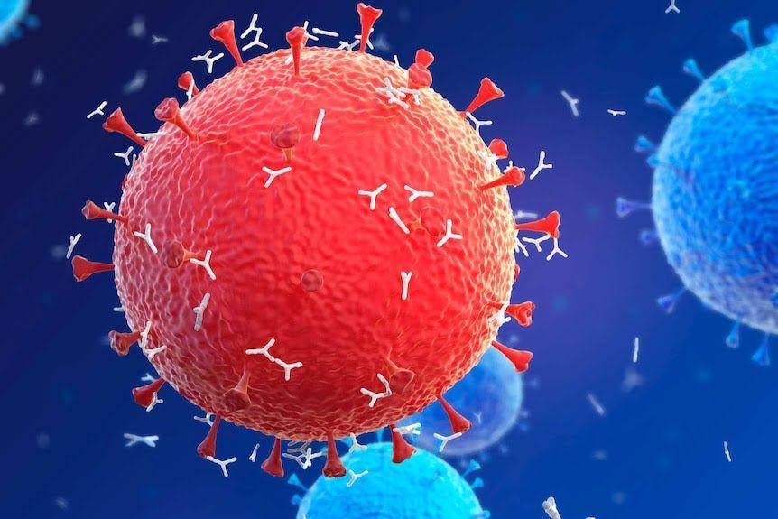 ilustrasi virus dikelilingi antibodi (Science Photo Library/Sergii Iaremenko)