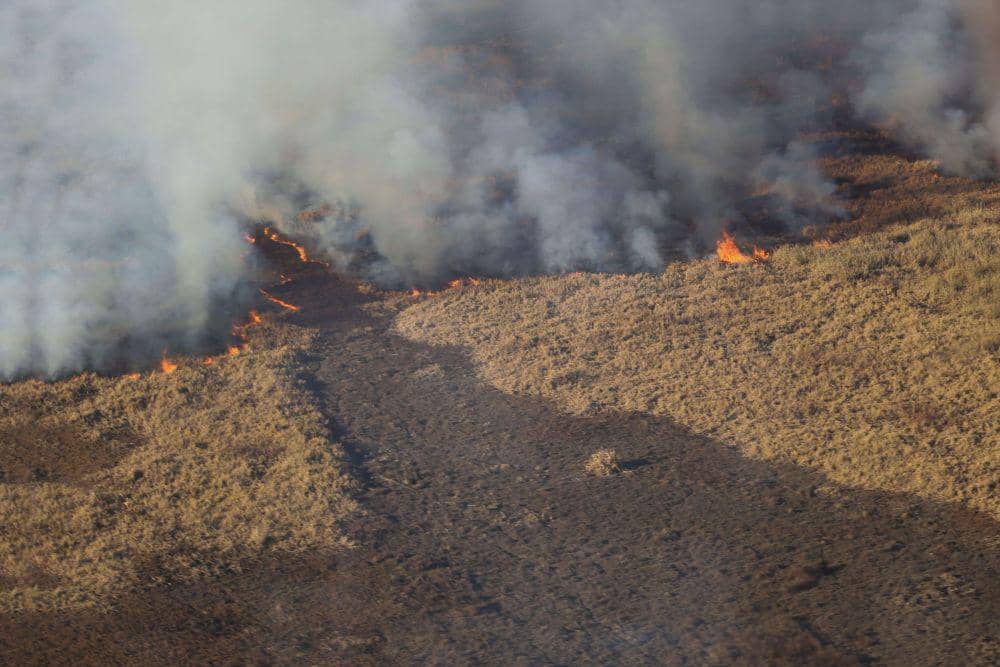 Kebakaran Hutan Terjadi di Delta Sungai Parana, Argentina