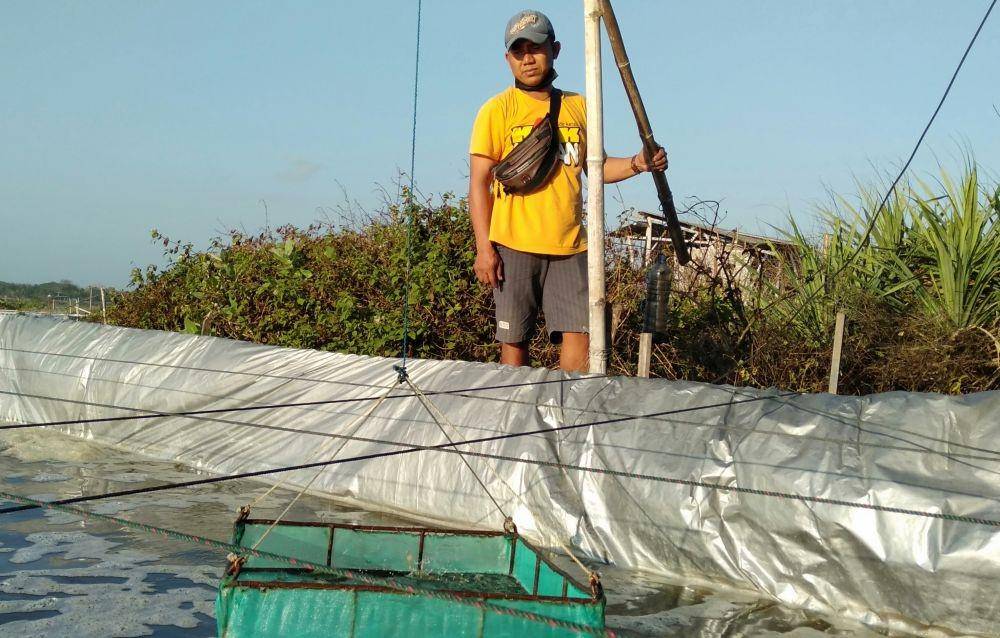 Petani tambak udang vaname di Pantai Samas Bantul.(IDN Tikes/Daruwaskita)