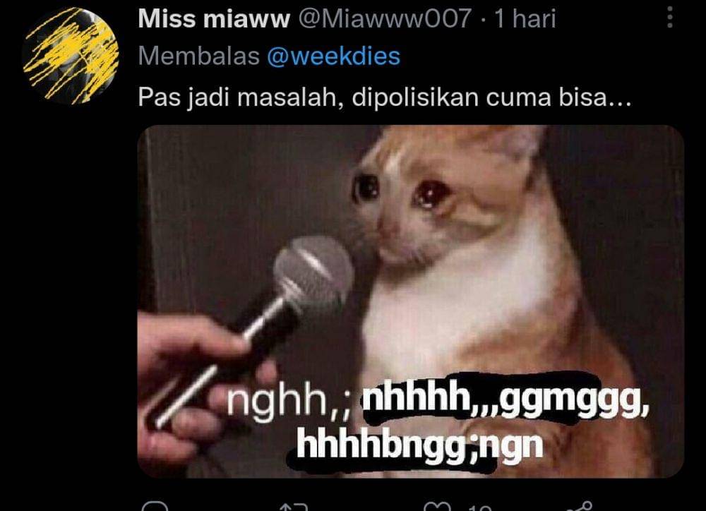 kucing gosip (twitter.com/Miawww007)
