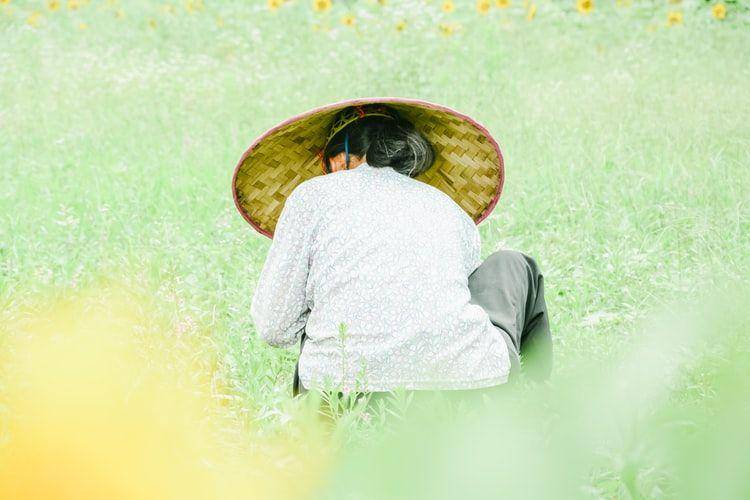 ilustrasi membersihkan rumput liar (unplashcom/Jeff Qian)