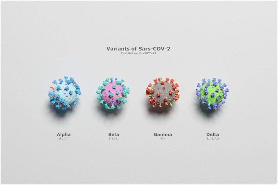 ilustrasi varian virus corona (news-medical.net)