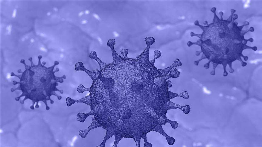 ilustrasi virus corona (aa.com.tr)