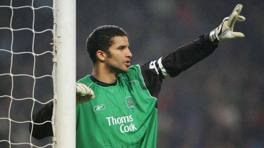 David James (goal.com)