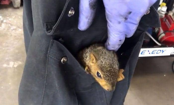 hal unik yang ditemukan para mekanik (reddit.com/schaeflife)