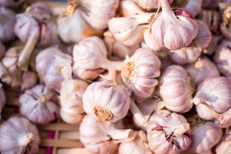 potret bawang putih (unsplash.com/team voyas)