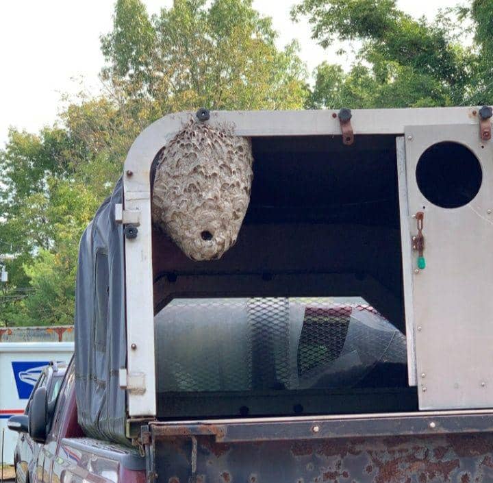 hal unik yang ditemukan para mekanik (reddit.com/Igotaspotatlukin)