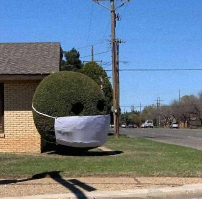 hal aneh di pekarangan rumah (instagram.com/shitgardens)