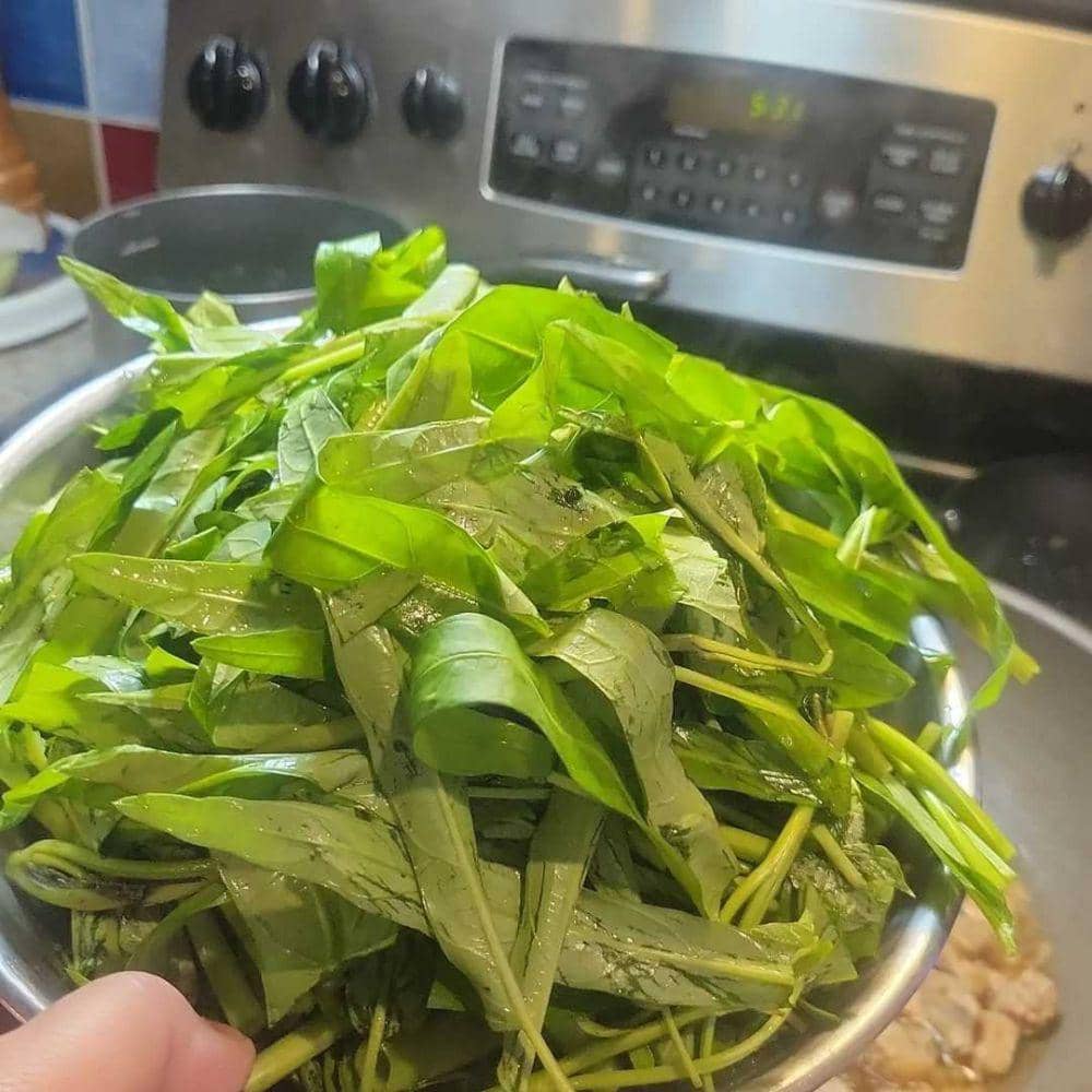 Membersihkan kangkung (instagram.com/chinoy76)