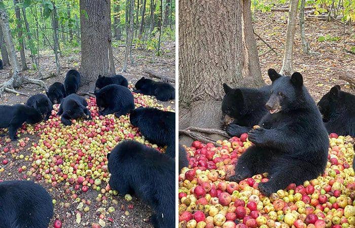 hewan dalam kondisi hidup paling bahagia (instagram.com/thesnugg via boredpanda.com)