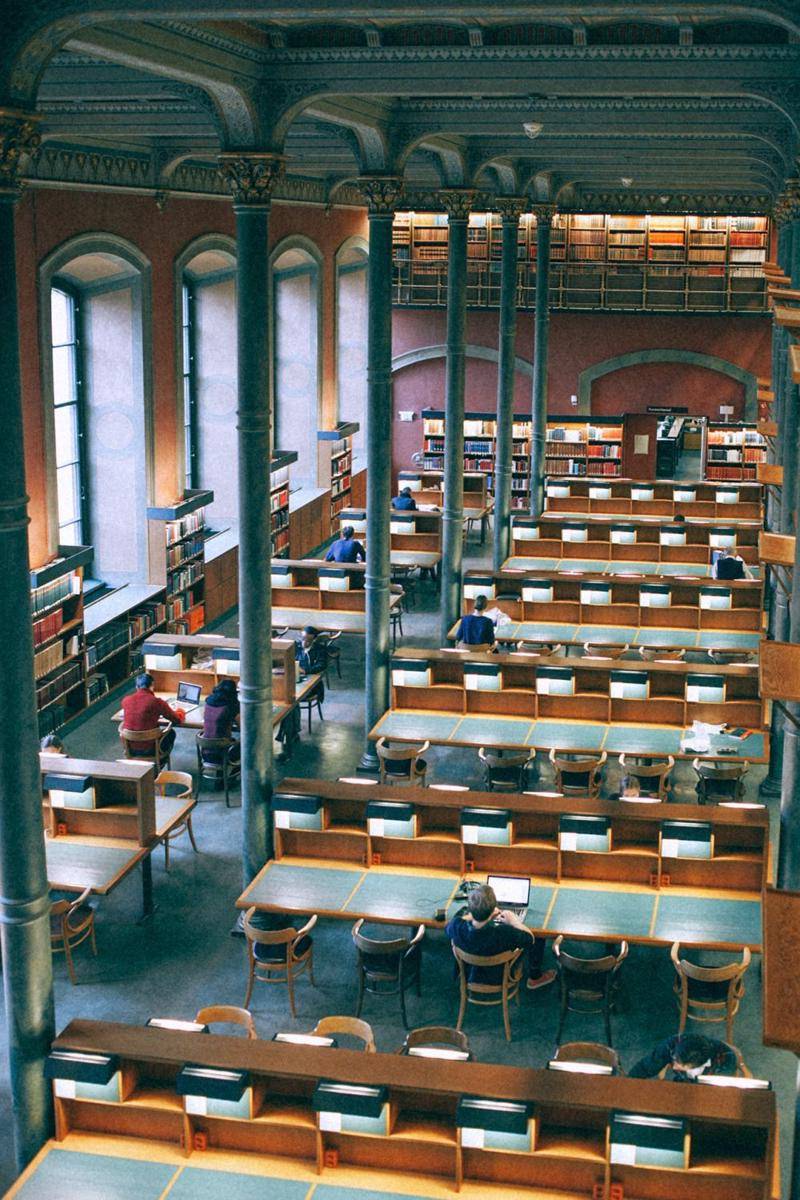 ilustrasi pengunjung perpustakaan (pexels.com/Maria Orlova)