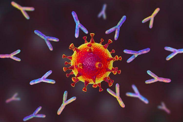 ilustrasi terapi antibodi monoklonal untuk COVID-19 (drugtargetreview.com)