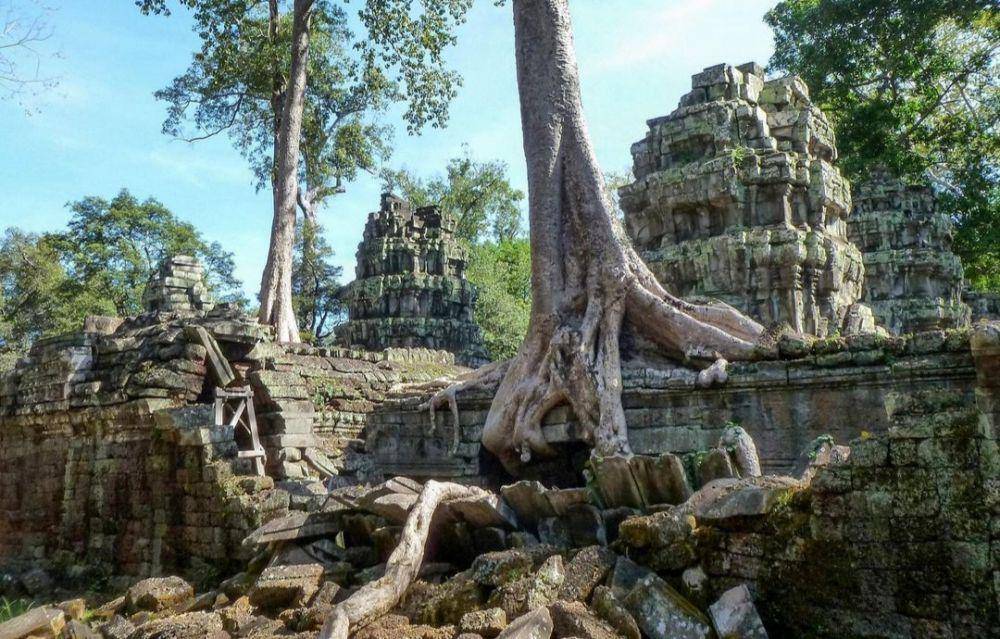 Ta Prohm (instagram.com/billysees)