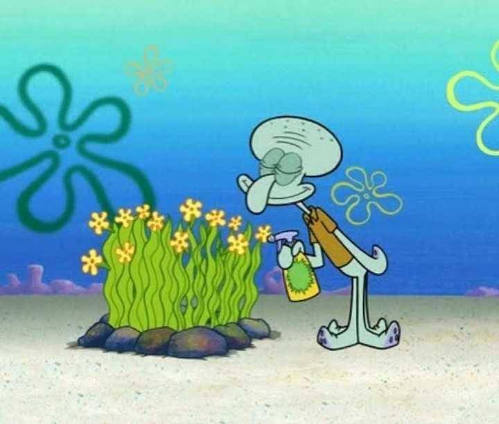 Squidward (dok. Nickelodeon/SpongeBob SquarePants)