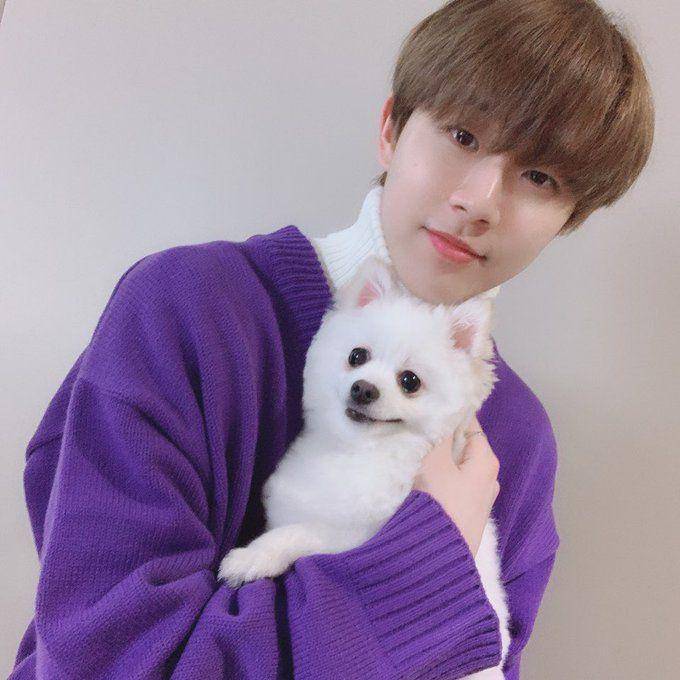Dong Hyun Golden Child dan hewan peliharaan (twitter.com/attachyun)