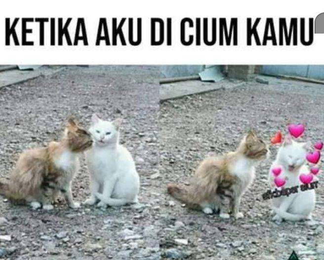 meme parodi saat jatuh cinta (instagram.com/wkwkland_real)