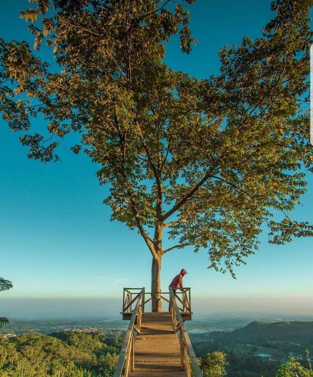 Hill Outdoor Park (instagram.com/pacethilloutdoorpark)