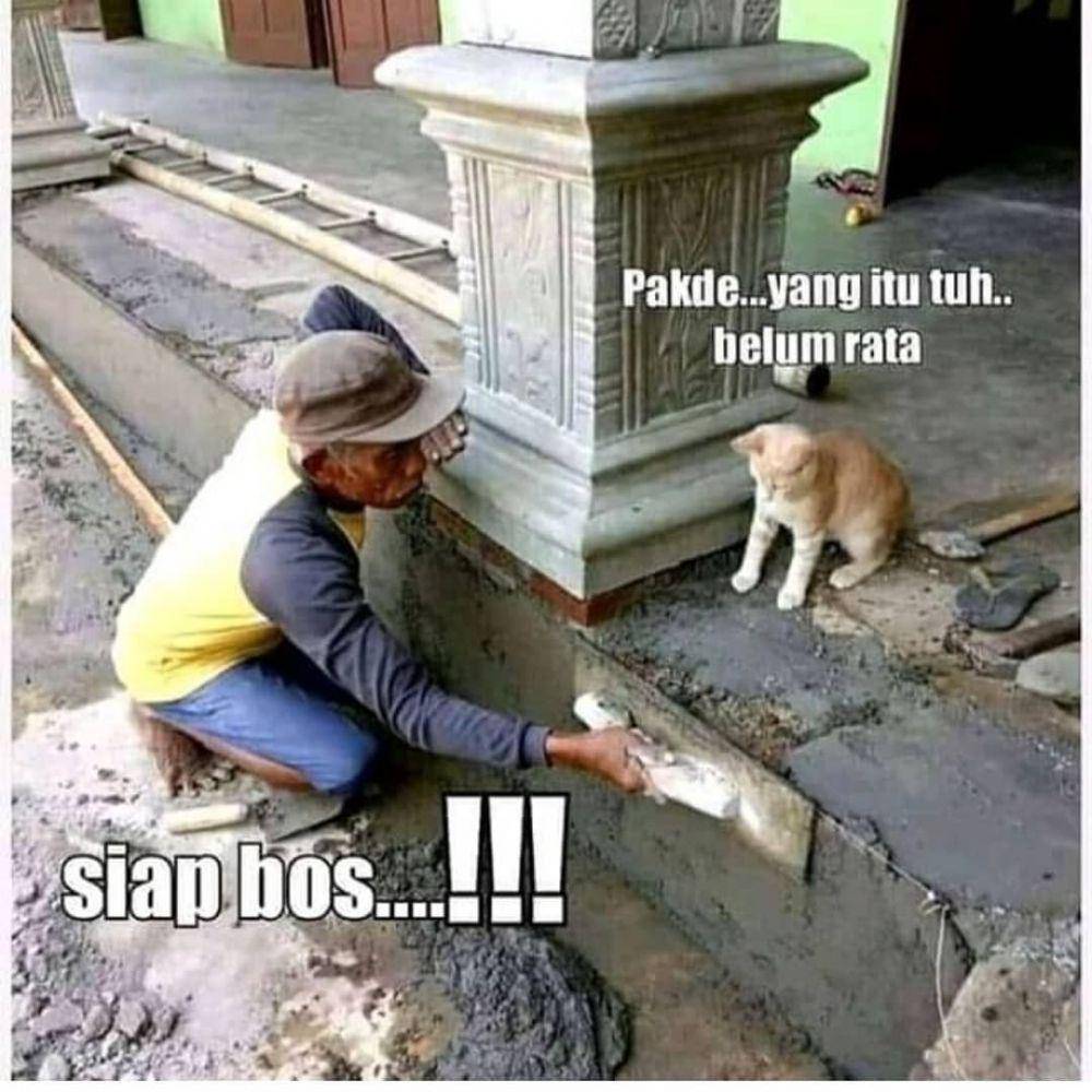 meme kucing (instagram.com/recehangokil)