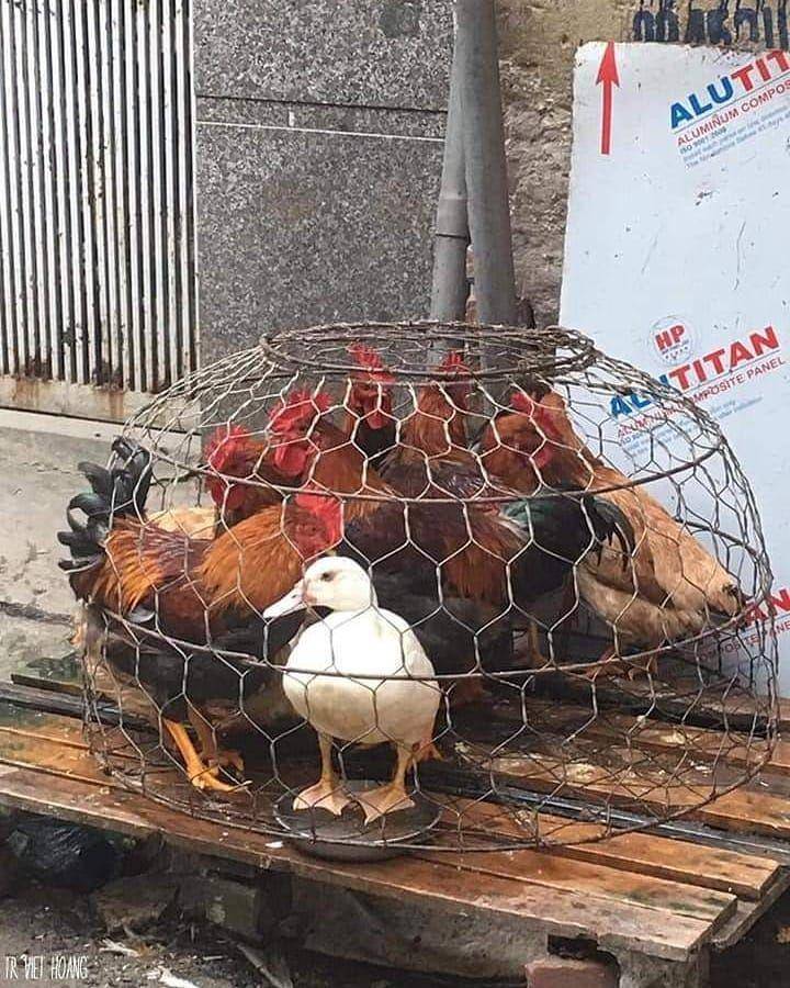 momen kocak karena gak lihat (instagram.com/sukijan.id)