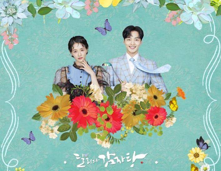 poster Dali and the Cocky Prince (dok. KBS2/Dali and the Cocky Prince)