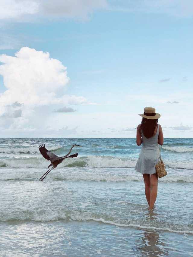 Ilustrasi liburan ( unsplash.com/Dominic)