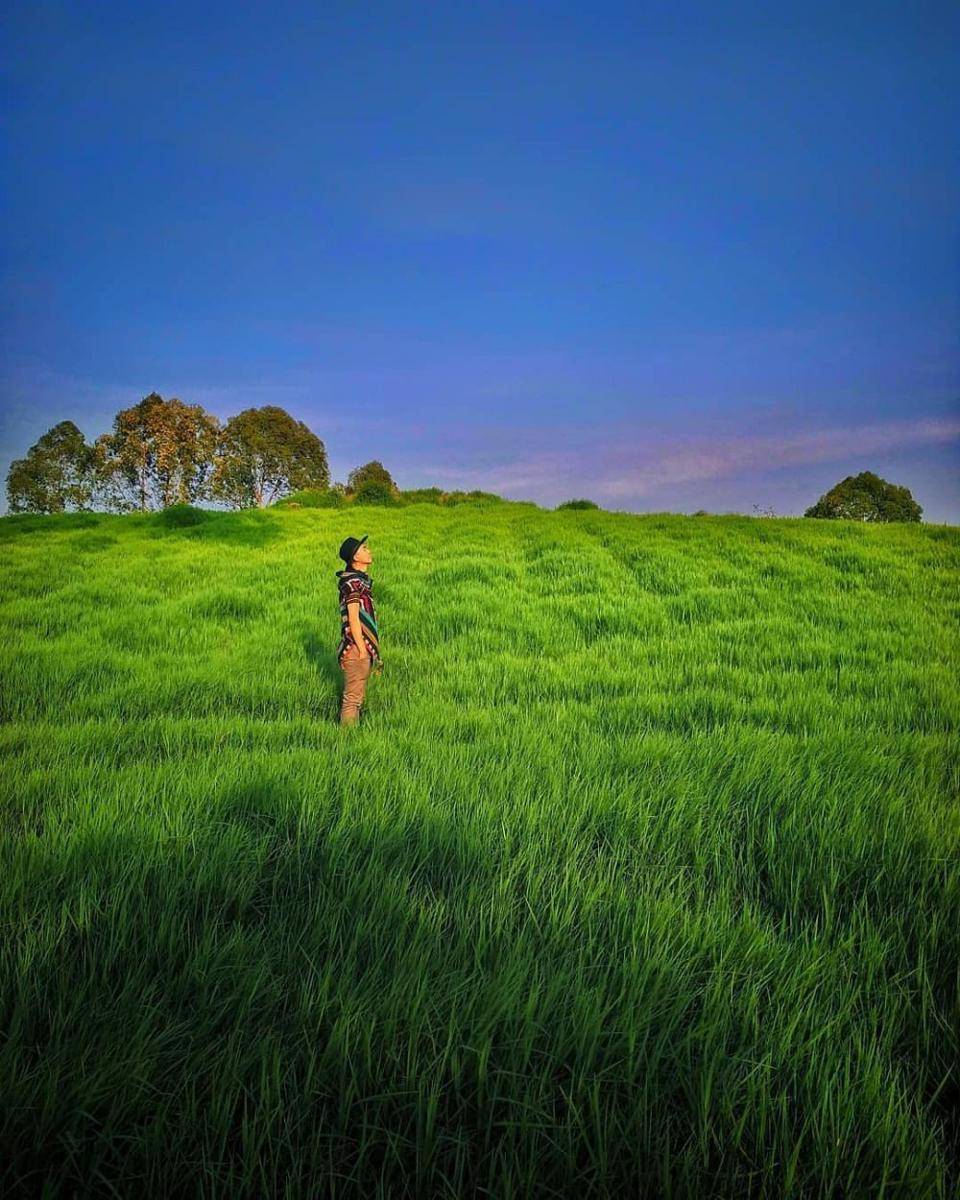 Padang Rumput Cihideung (instagram.com/rbihsan)