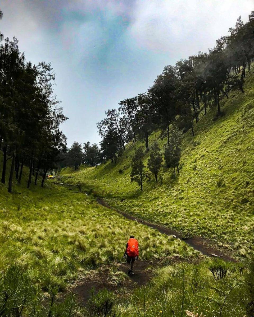 Sabana Bulak Peperangan (instagram.com/joojoohaa)
