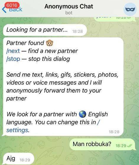 chat kenalan di Telegram (twitter.com/maximodeus)