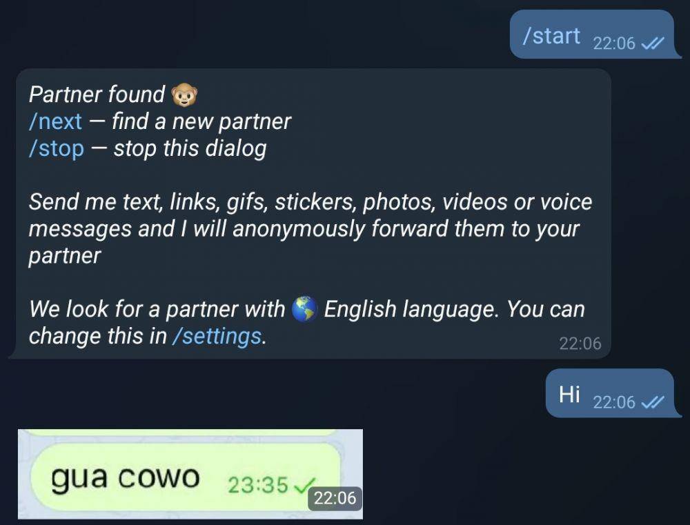 chat kenalan di Telegram (twitter.com/emnuy)