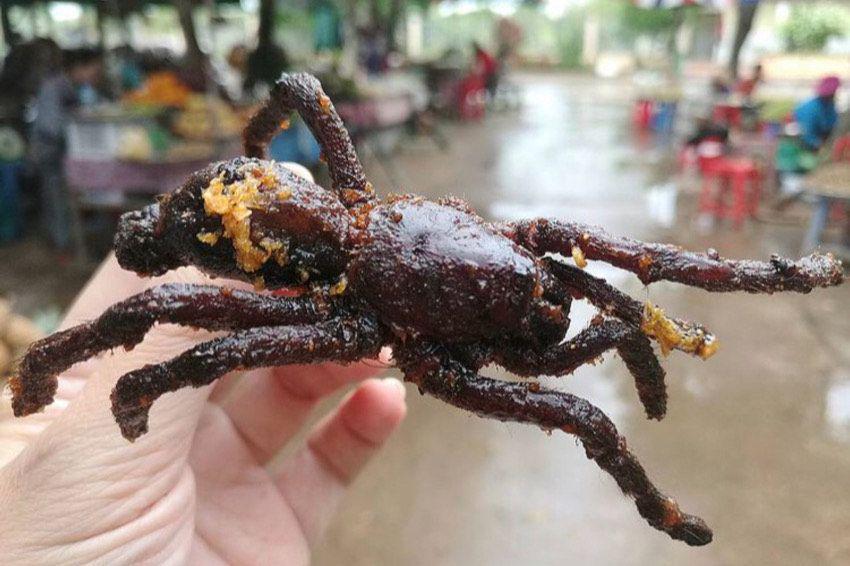 10 Fakta Menarik Tarantula Goreng, Makanan Ekstrem Khas Kamboja