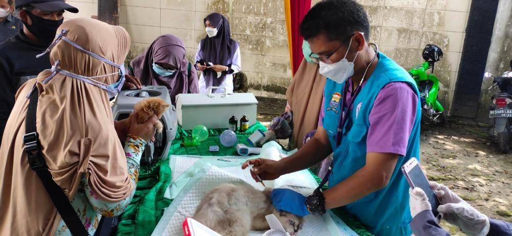 Penyuntikan vaksin Rabies bagi hewan peliharaan di Kecamatan Plaju Palembang (IDN Times/istimewa)