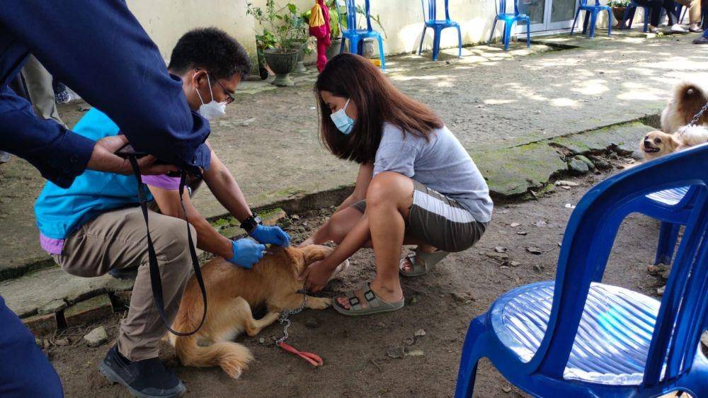 Penyuntikan vaksin Rabies bagi hewan peliharaan di Kecamatan Plaju Palembang (IDN Times/istimewa)