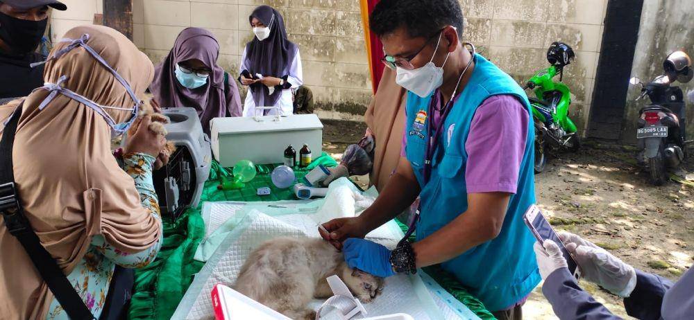 Penyuntikan vaksin Rabies bagi hewan peliharaan di Kecamatan Plaju Palembang (IDN Times/istimewa)