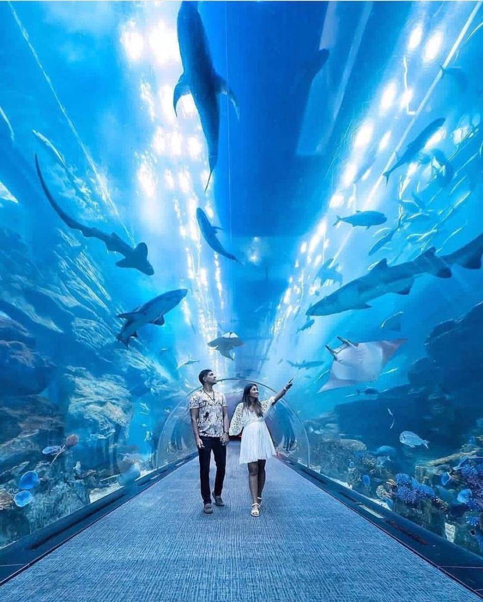 Dubai Aquarium (instagram.com/aman.shai.xox)
