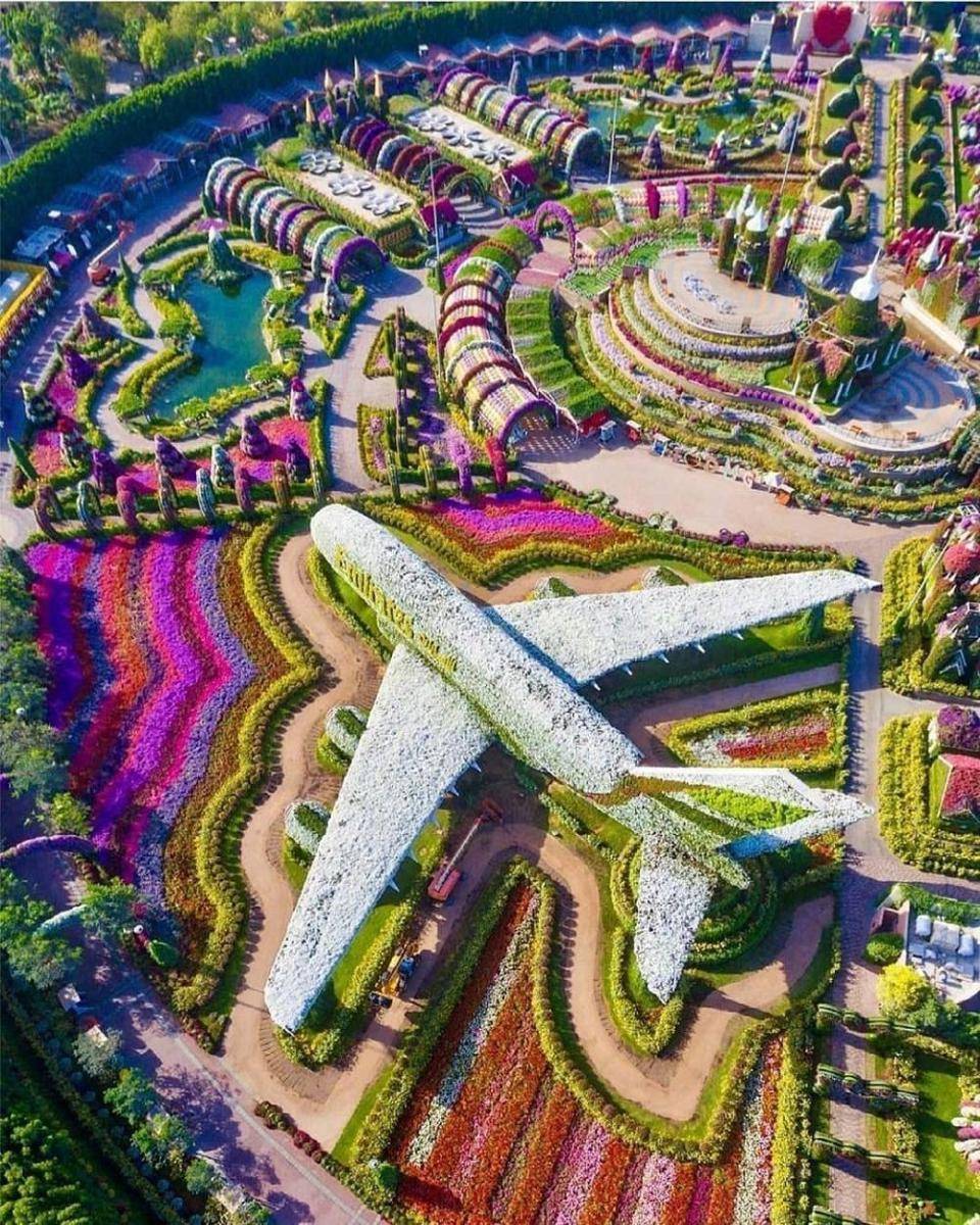 Dubai Miracle Garden (instagram.com/lostmagpie)