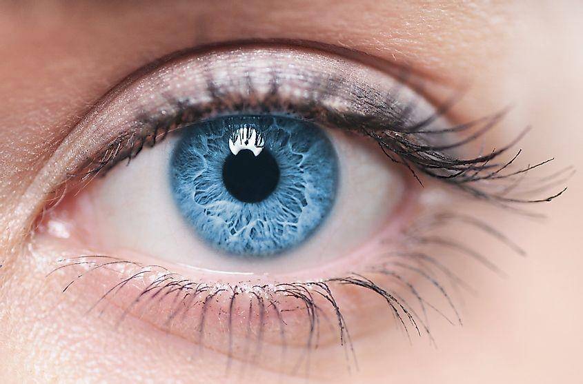 ilustrasi mata dan warna biru (worldatlas.com)