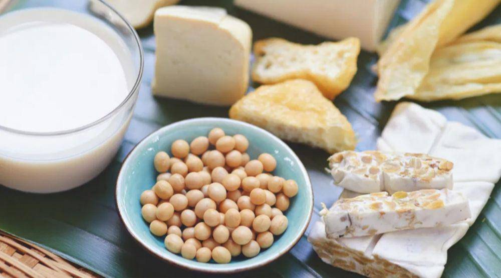 Ilustrasi makanan dan minuman mengandung probiotik (healthline.com)