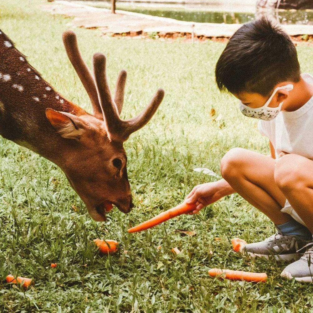 Nara Kupu Village (instagram.com/ruslitwins)
