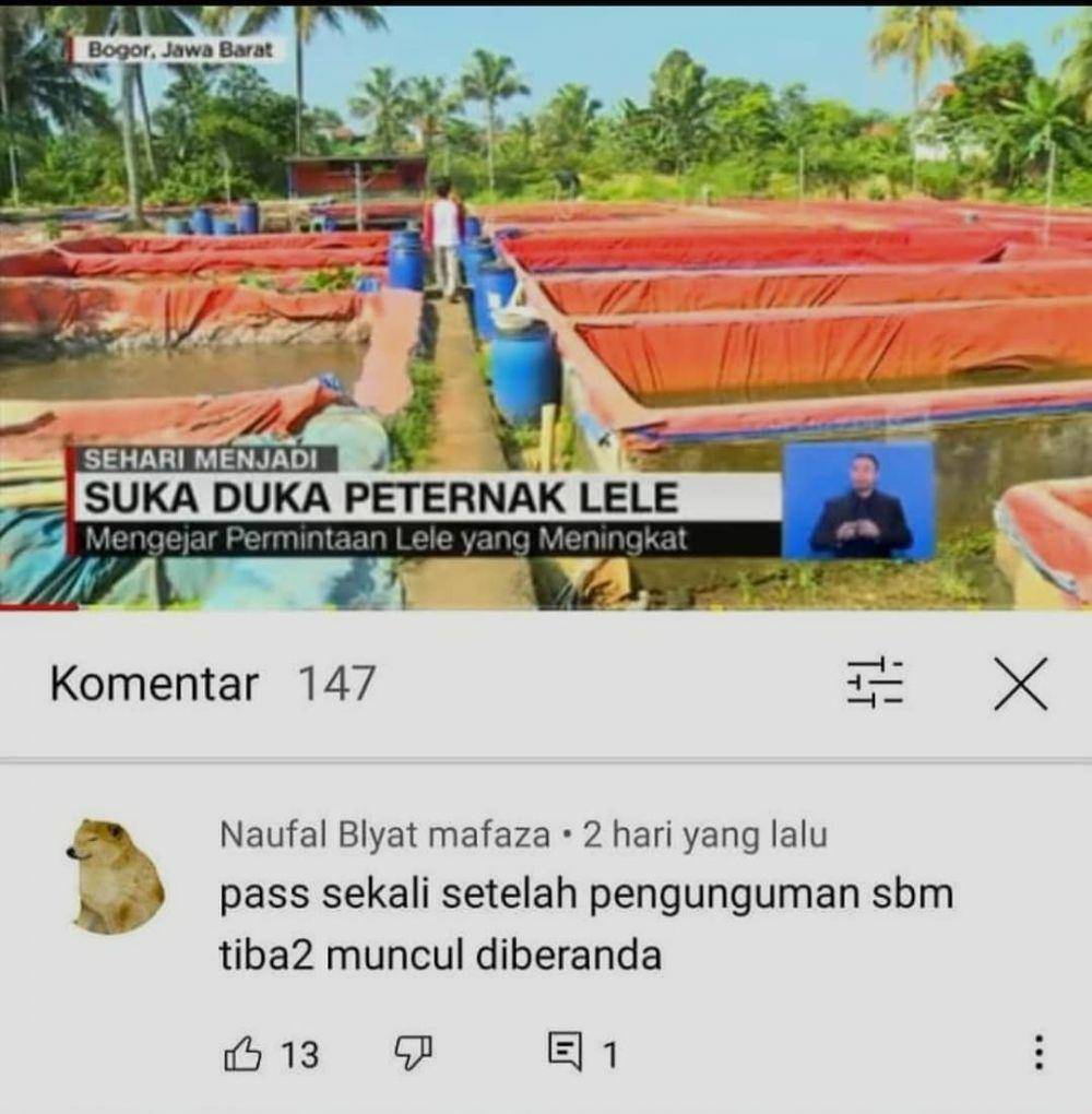 meme seputar pekerjaan (instagram.com/recehtapiviral)