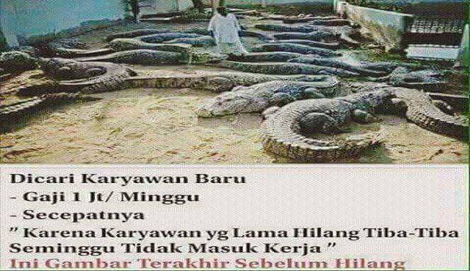 meme seputar pekerjaan (twitter.com/yanglagitren)
