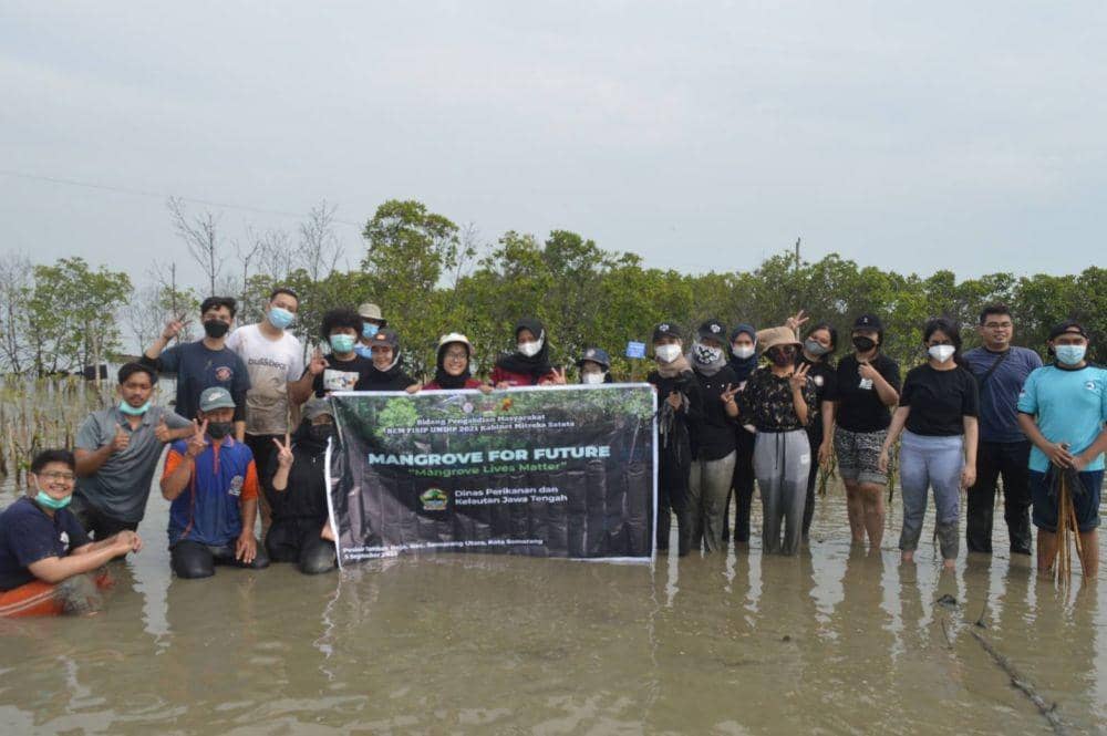 Mahasiswa FISIP Undip dan warga Tambakrejo ketika sesi penanaman mangrove. (Dok FISIP Undip)