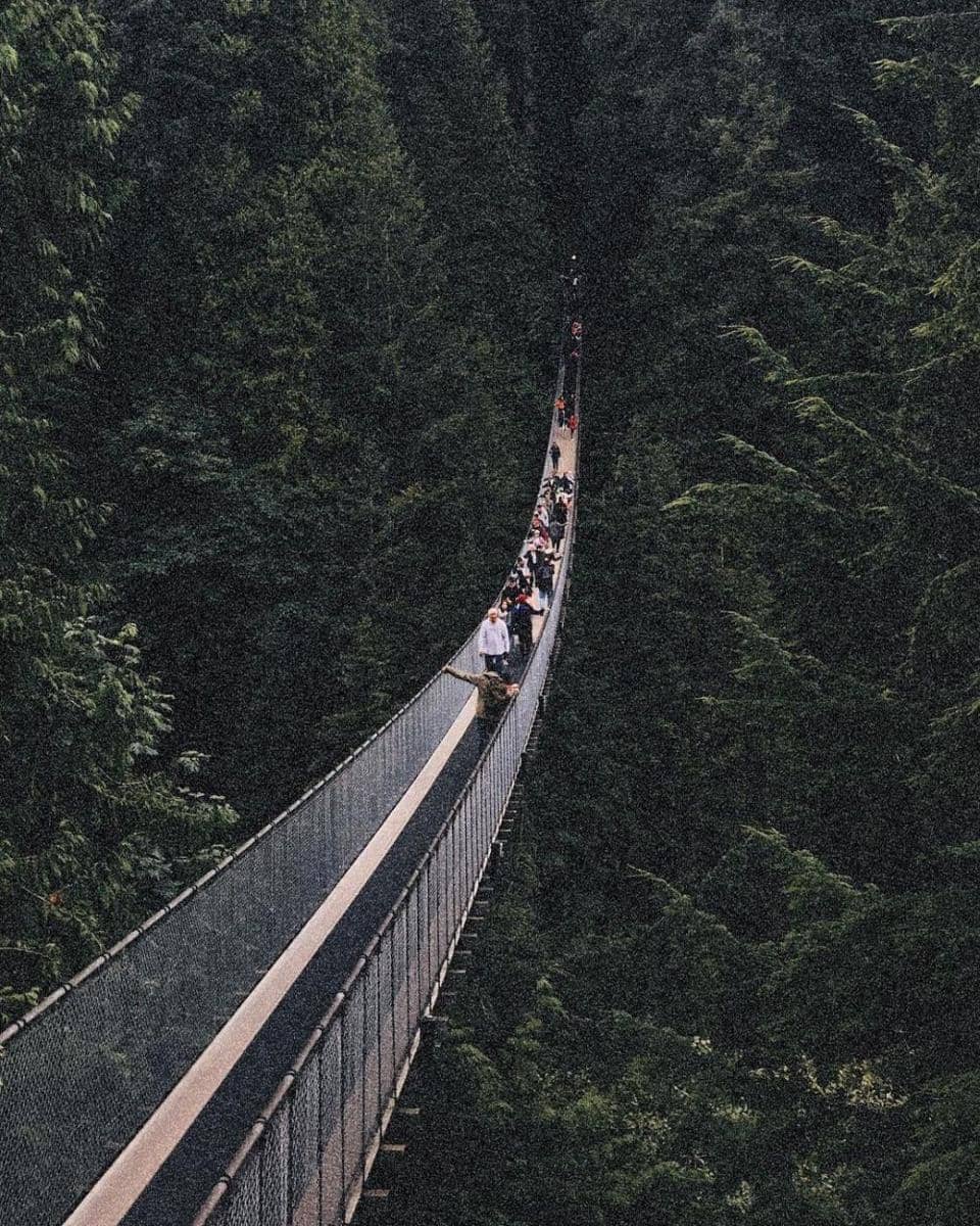Capilano Suspension Bridge (instagram.com/countryescaping)