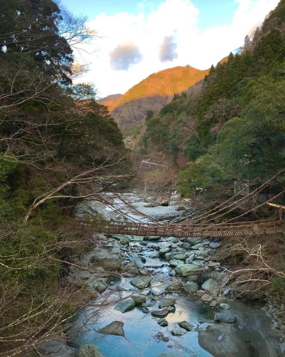 Iya Valley Vine Bridges (instagram.com/ez_fhotos)
