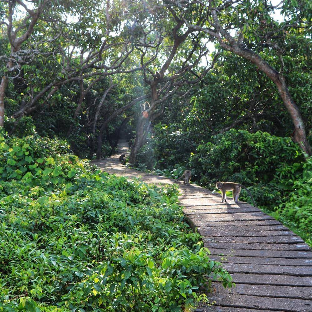 Pulau Kembang (instagram.com/nuriawanrhosid)
