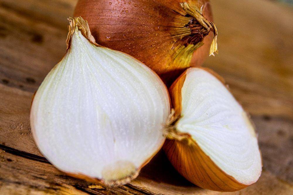 ilustrasi bawang bombai (pexels.com/Magda Ehlers)