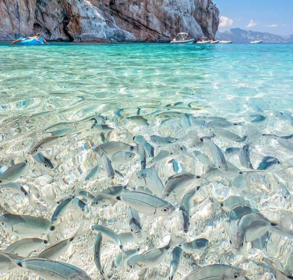 keindahan Cala Mariolu (instagram.com/beachmirror)