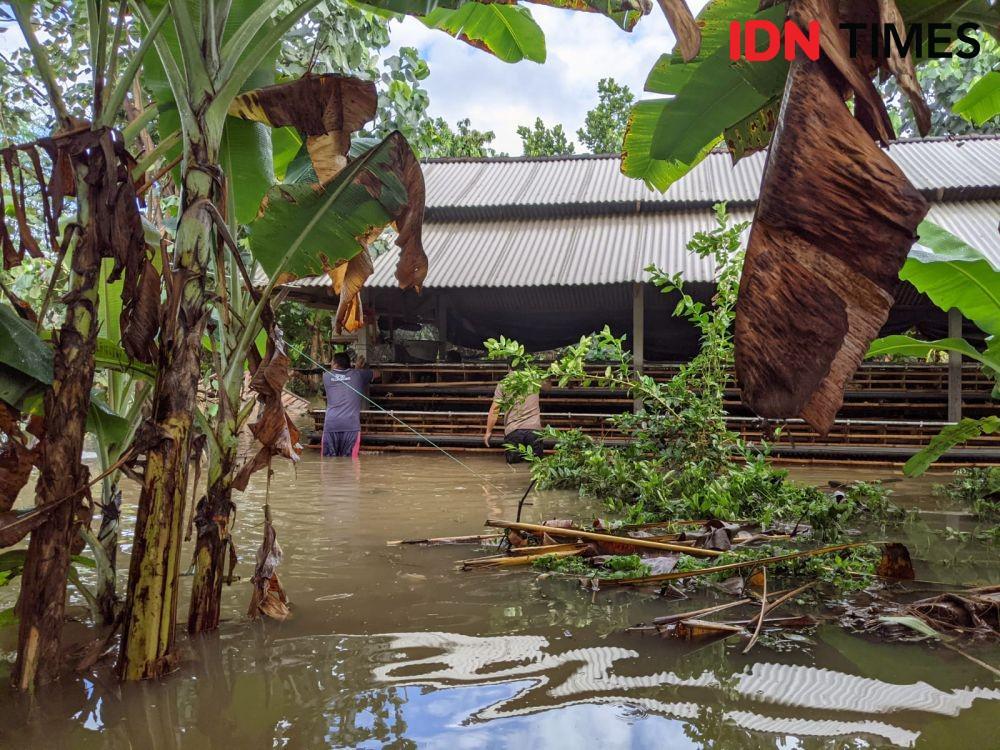 IDN Times/Wayan Antara