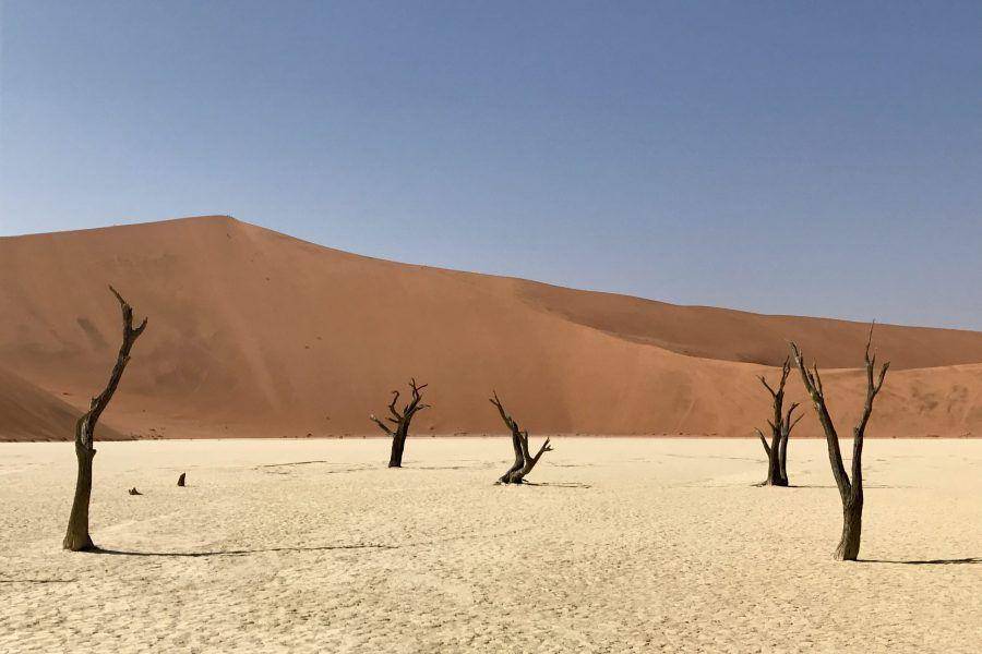 potret Gurun Namib (maycausewanderlust.com)