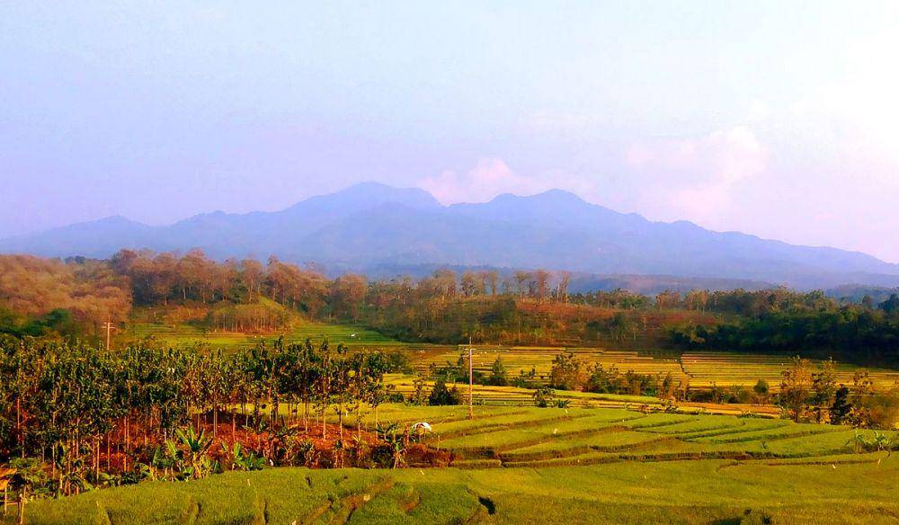 potret Gunung Wilis dari kejauhan (id.wikipedia.org)
