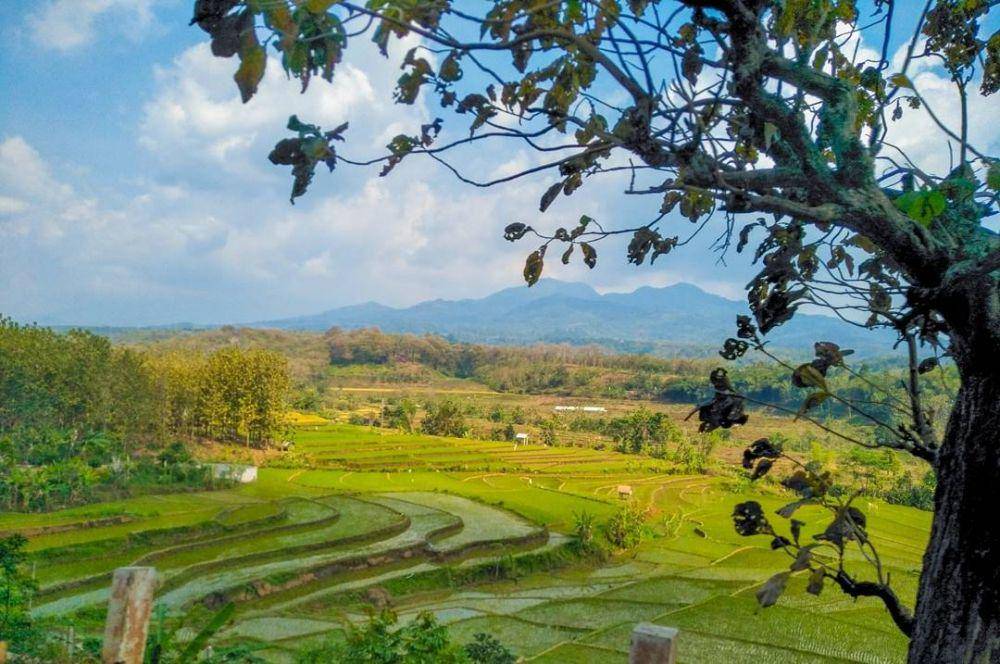 Gunung Wilis dari kejauhan (instagram.com/hobbi_jalan2)